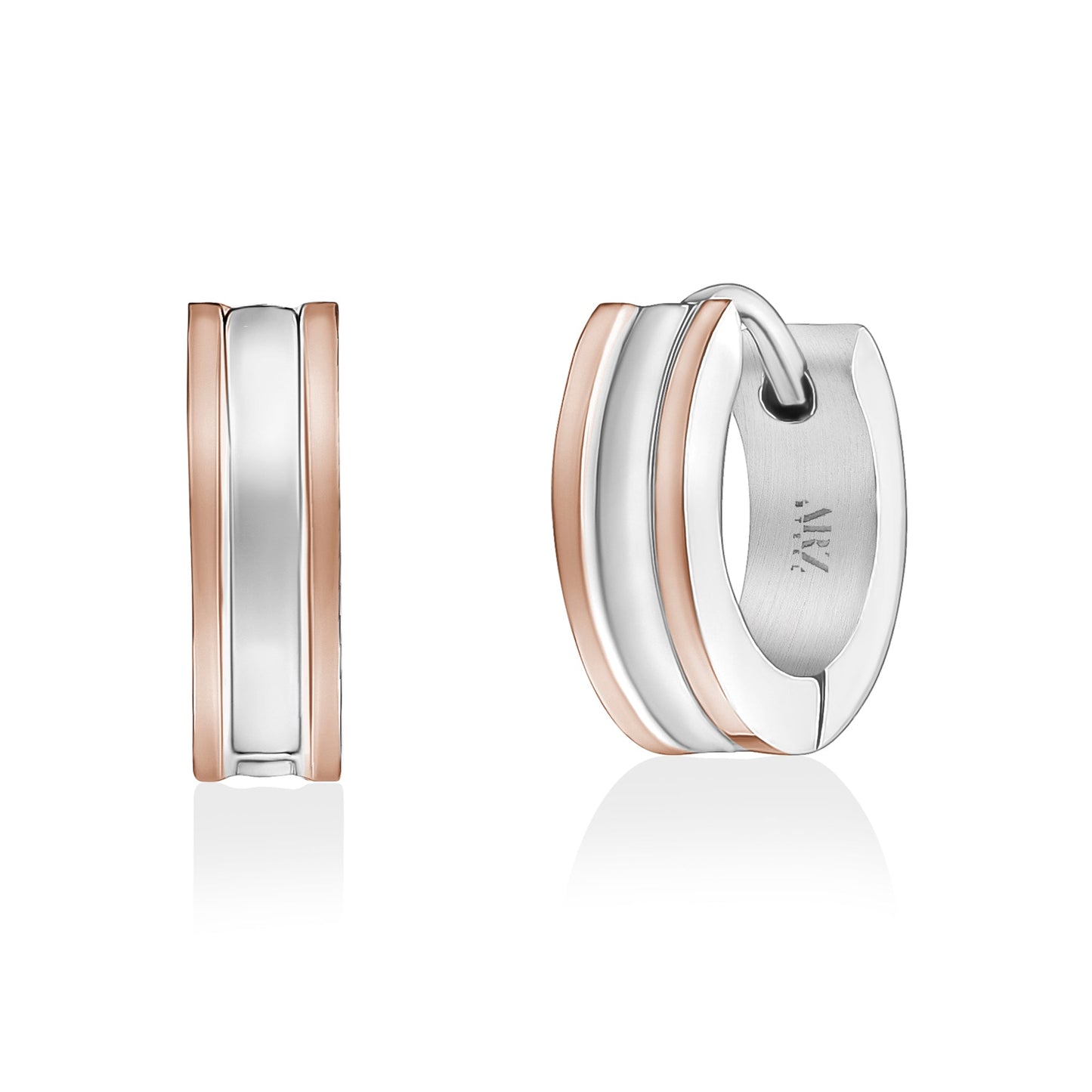 Ladies Steel Earrings SSE171