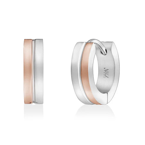 Steel earrings for ladies SSE178