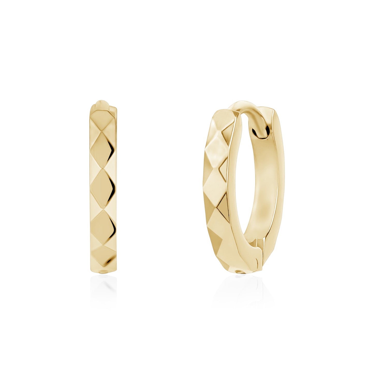 Ladies Steel Earrings SSE185G