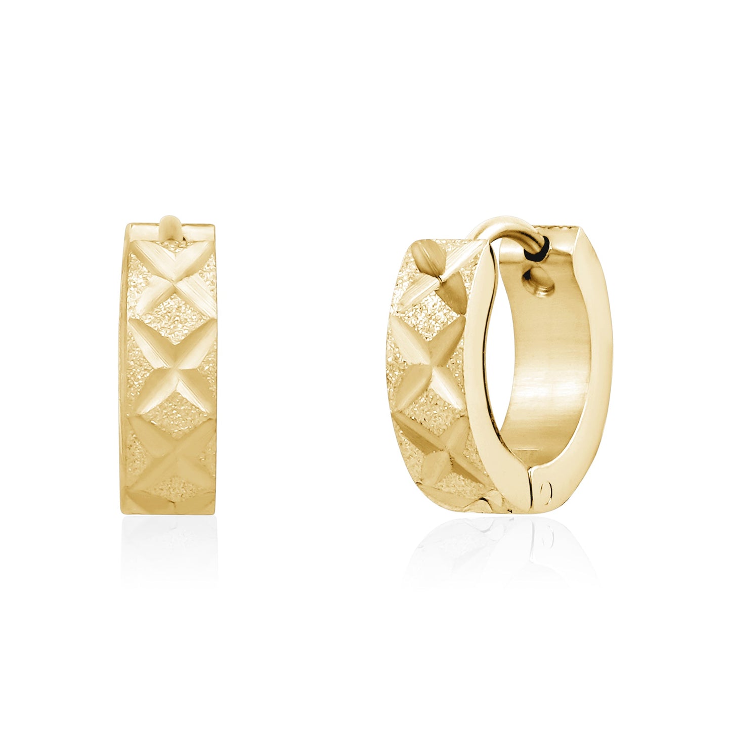 Ladies Steel Earrings SSE186G