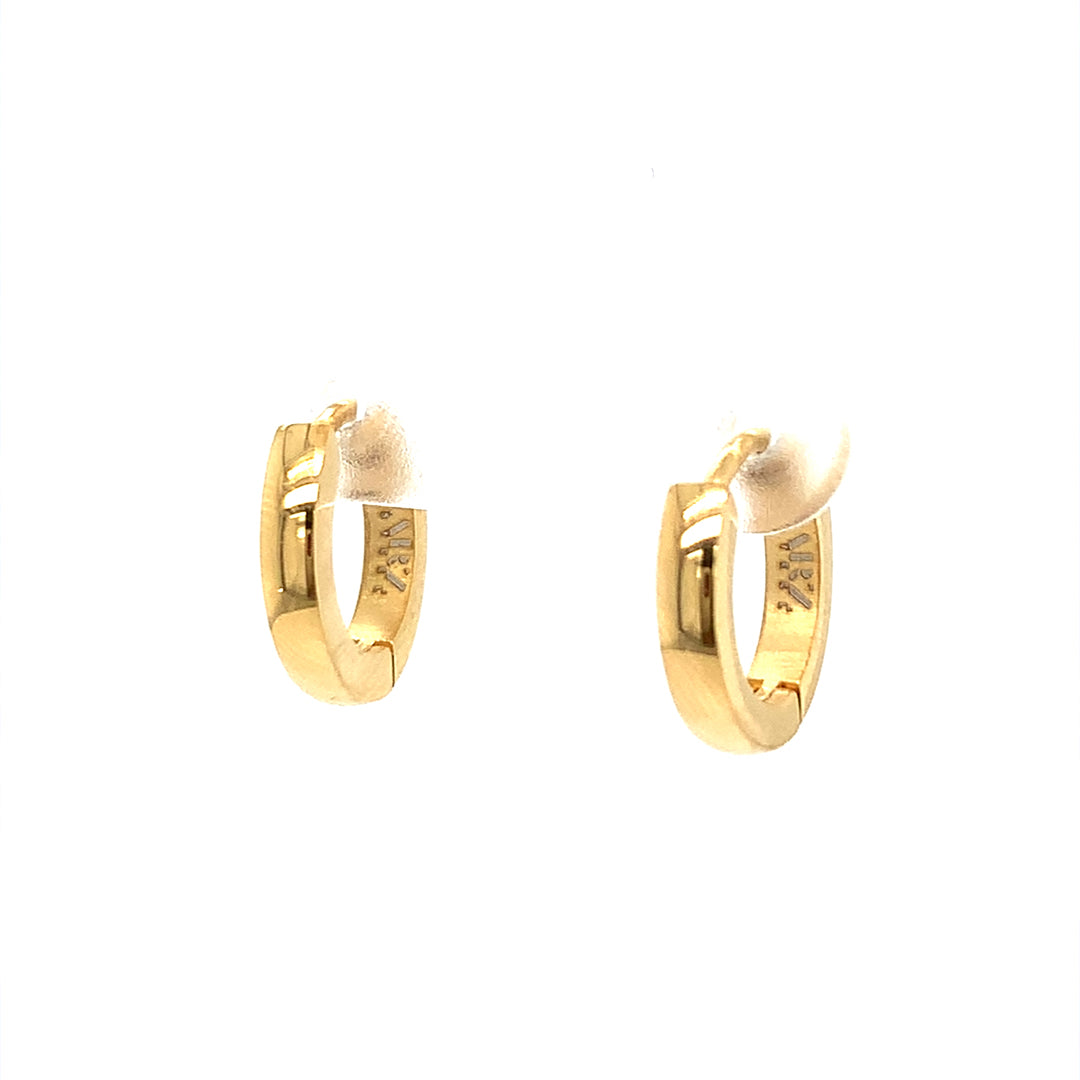 Ladies Steel Earrings SSE187G