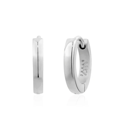 Ladies Steel Earrings SSE187W