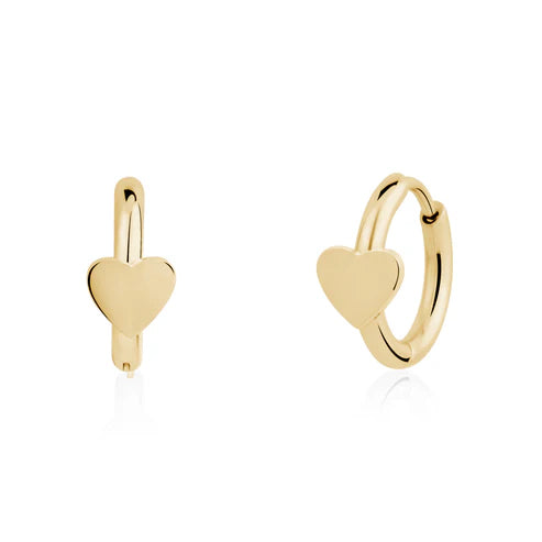 Ladies Steel Earrings SSE188G
