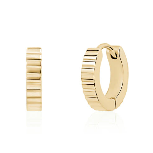 Ladies Steel Earrings SSE189G