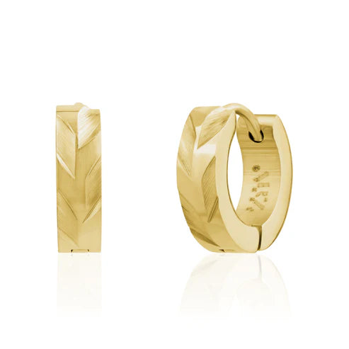 Boucles d'oreilles en acier pour dame SSE190G