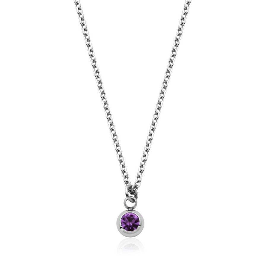 Collier avec pierre de naissance de Février en acier T3XE6FEB18