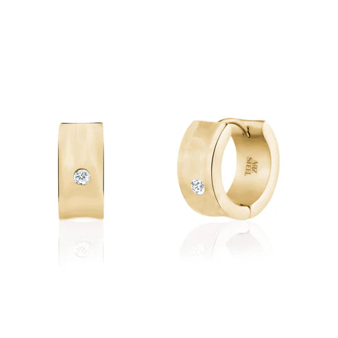 Boucles d'oreilles en acier pour dame SSE115G