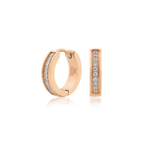 Boucles d'oreilles en acier pour dame SSE141R