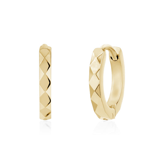 Ladies Steel Earrings SSE185G