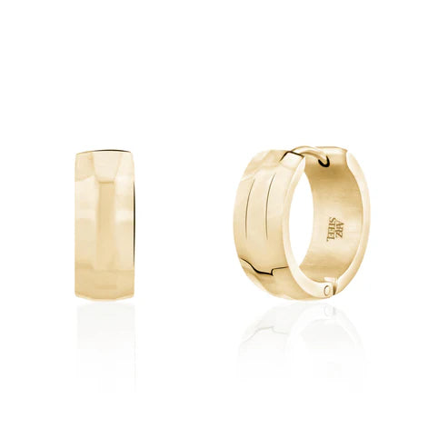 Boucles d'oreilles en acier pour dame SSE85G