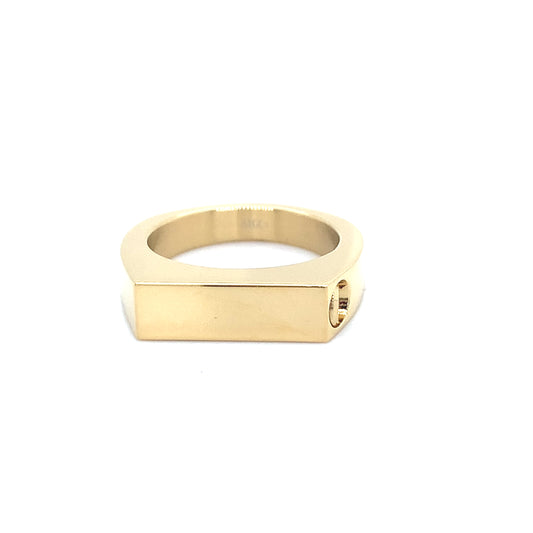 Bague de crémation pour femme en acier ZW-22