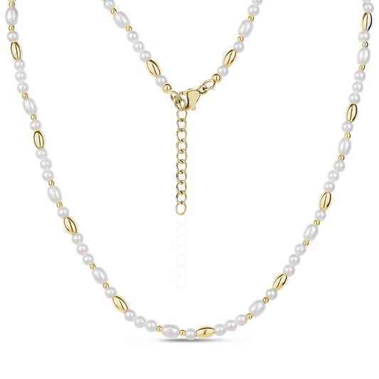 Collier en acier ZW-N81