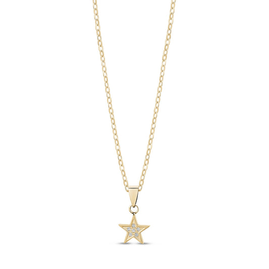 Collier en acier ZW-P51-G